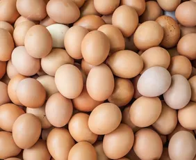 Imagem ilustrativa da imagem Brasil produz o equivalente a 305 ovos de galinha por habitante