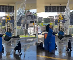 Imagem ilustrativa da imagem Brincadeira refrescante com cachorro em posto no ES viraliza nas redes; veja vídeo