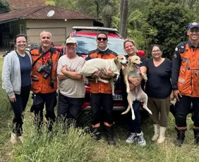 Imagem ilustrativa da imagem Cadelas são resgatadas de paredão de 60 metros na Região Serrana do ES