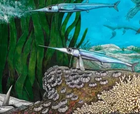 Imagem ilustrativa da imagem Cientistas brasileiros identificam nova espécie de peixe pré-histórico