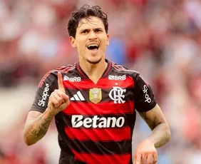 Imagem ilustrativa da imagem Com protagonismo de Pedro, Flamengo vence o Palmeiras e divide a liderança