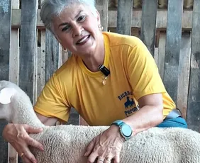 Imagem ilustrativa da imagem ES possui produção de leite de ovelha