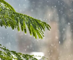 Imagem ilustrativa da imagem ES recebe alerta de acumulado de chuva nesta segunda-feira; veja cidades em risco