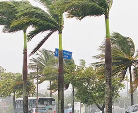 Imagem ilustrativa da imagem ES recebe alerta de fortes ventos costeiros; veja cidades