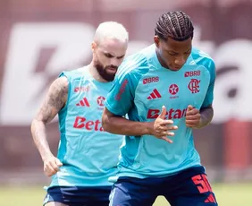 Imagem ilustrativa da imagem Flamengo reclama de testes antidoping antes de enfrentar o Palmeiras