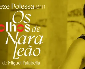 Imagem ilustrativa da imagem História da cantora capixaba Nara Leão será encenada por Zezé Polessa no teatro