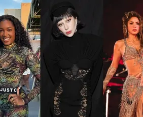 Imagem ilustrativa da imagem Iza, Lady Gaga e Shakira: nomes de cantoras dominam batismo de pets no Brasil