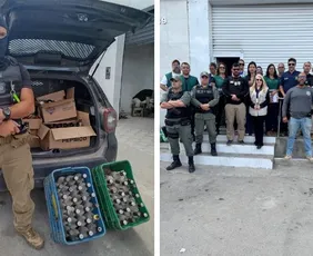 Imagem ilustrativa da imagem Operação Intox apreende bebidas adulteradas em mercado de Cachoeirinha