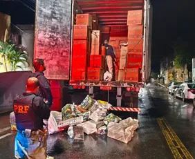 Imagem ilustrativa da imagem PRF apreende 700 quilos de maconha em caminhão que transportava panetone para o ES