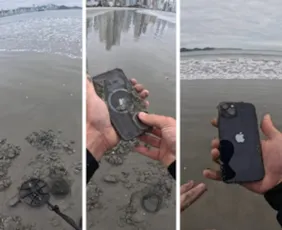 Imagem ilustrativa da imagem VÍDEO | Jovem com detector de metais acha Iphone soterrado e devolve à dona