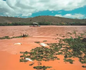 Imagem ilustrativa da imagem Vale e Samarco são autuadas em R$1,92 bi por abater imposto com tragédia de Mariana