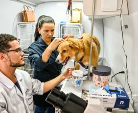 Imagem ilustrativa da imagem Vitória abre seleção para engenheiros e médico veterinário; veja detalhes