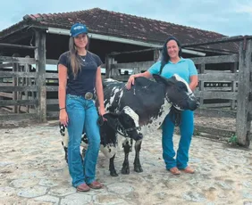 Imagem ilustrativa da imagem 14 mil sítios e fazendas do ES são comandados por mulheres