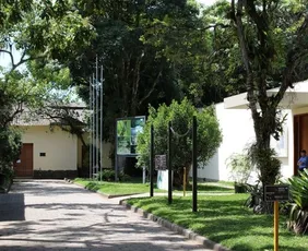 Imagem ilustrativa da imagem A ciência que nasce no quintal