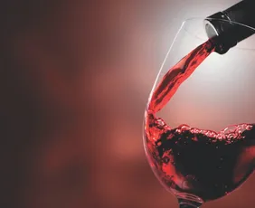 Imagem ilustrativa da imagem Acordo entre Mercosul e União Europeia vai gerar mais negócios no ES