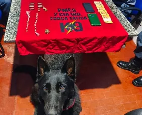 Imagem ilustrativa da imagem Adolescente é detido após pichar sigla de facção criminosa em muro de ginásio no ES