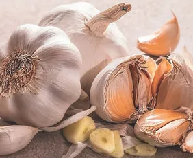 Imagem ilustrativa da imagem Alho fica maior e “livre” de doenças