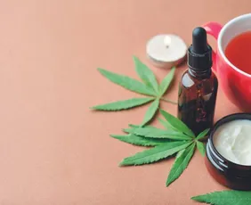 Imagem ilustrativa da imagem Anvisa apresenta proposta para regulamentar produção de cannabis medicinal