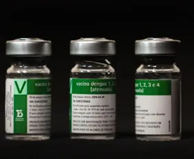 Imagem ilustrativa da imagem Aplicação da vacina da dengue do Butantan começará a partir do dia 17