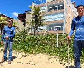 Imagem ilustrativa da imagem Área cercada para desova de tartarugas no litoral do ES