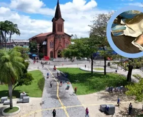 Imagem ilustrativa da imagem Arquidiocese se manifesta após ataque a imagem de Nossa Senhora em igreja