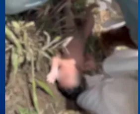 Imagem ilustrativa da imagem Bebê recém nascido é encontrado em área de pasto no Norte do ES