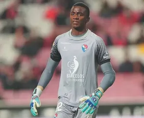 Imagem ilustrativa da imagem Botafogo e Flamengo travam disputa para contratar goleiro destaque em Portugal