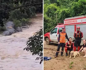 Imagem ilustrativa da imagem Cachorro é resgatado após cair em correnteza de rio na região Serrana do ES