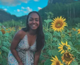 Imagem ilustrativa da imagem Campo de girassóis vira point para fotos no Norte do ES