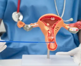 Imagem ilustrativa da imagem Câncer de vulva e vagina mata quase 600 mulheres em 2025