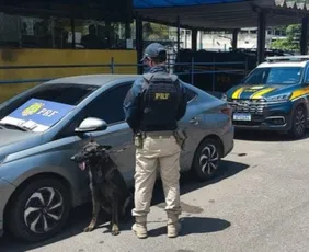 Imagem ilustrativa da imagem Carga de haxixe é encontrada por cão farejador escondida em banco de carro em Viana