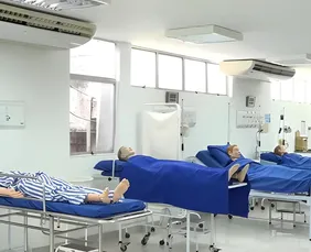 Imagem ilustrativa da imagem Centro universitário do Recife abre cursos de férias gratuitos até 30 de janeiro