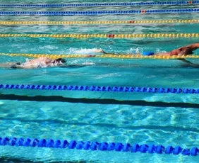 Imagem ilustrativa da imagem Clube Álvares Cabral recebe promessas da natação até sábado