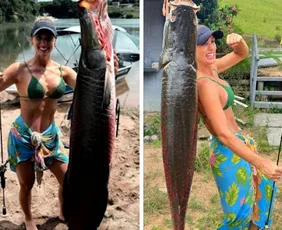 Imagem ilustrativa da imagem Com vara simples, empresária pesca pirarucu de 65 kg no Norte do ES