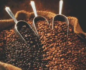 Imagem ilustrativa da imagem Conflito entre EUA e Irã: tarifa pode afetar o café capixaba?