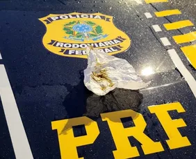 Imagem ilustrativa da imagem "Droga gourmet" avaliada em até R$ 300 por grama é apreendida pela PRF na Serra