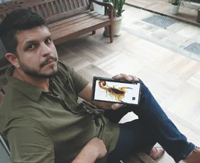 Imagem ilustrativa da imagem ES registra mais de 5 mil acidentes com escorpiões