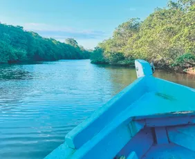 Imagem ilustrativa da imagem Emoção em roteiro com rios e praias em Anchieta