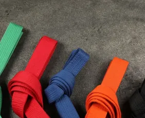 Imagem ilustrativa da imagem Exame estadual de faixa acontece neste domingo em Vitória