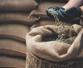 Imagem ilustrativa da imagem Exportação de café do Espírito Santo para 62 países em 2025