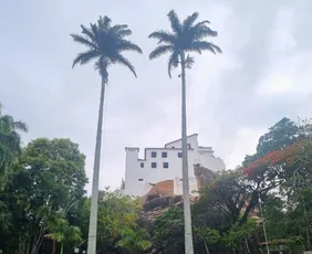 Imagem ilustrativa da imagem Festa da Penha de 2026 terá mais de 50 missas e 14 romarias