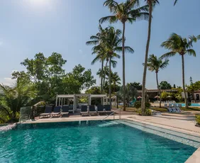 Imagem ilustrativa da imagem Flamboyant entre os melhores