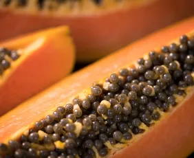 Imagem ilustrativa da imagem Frutas capixabas fazem sucesso até na “Terra dos Vikings”