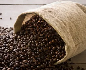 Imagem ilustrativa da imagem Grão que vale ouro: Corrida no Caparaó vai premiar vencedores com sacas de café