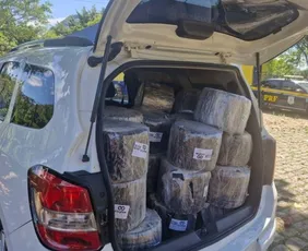 Imagem ilustrativa da imagem Homem é preso após ser flagrado furtando carga de caminhão envolvido em acidente