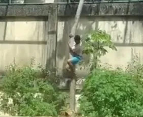 Imagem ilustrativa da imagem Homem morre após entrar na jaula dos leões em João Pessoa