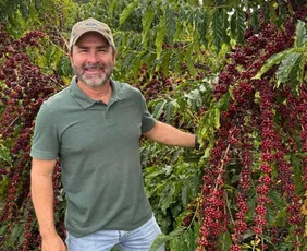 Imagem ilustrativa da imagem Irrigação para cafeeiro ter vigor após colheita