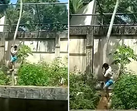 Imagem ilustrativa da imagem Jovem morto em zoo tinha transtornos mentais e queria cuidar de leões na África