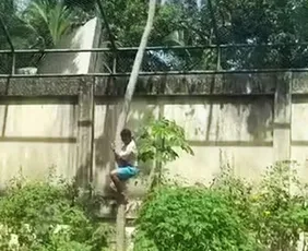 Imagem ilustrativa da imagem Jovem morto por leoa em zoológico pediu felicidade que nunca teve em carta de Natal