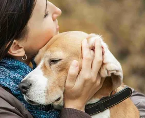 Imagem ilustrativa da imagem Luto por pets pode ser pior do que a perda de parentes